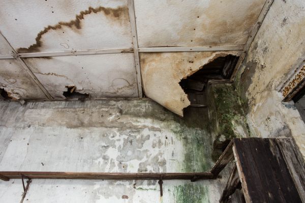 Water Damage Service in Upland