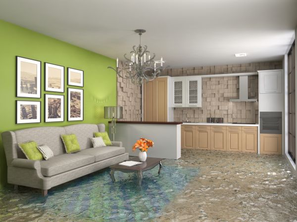 Cost of Wet Carpet Drying in Upland