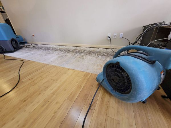 Water Damage Mitigation in Upland
