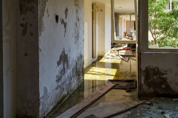 Cost of Water Removal Service in Upland
