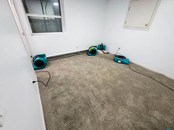 Flood Restoration Service in Upland