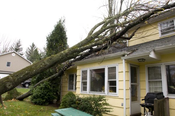 Cost of Hurricane Damage Repair in Upland